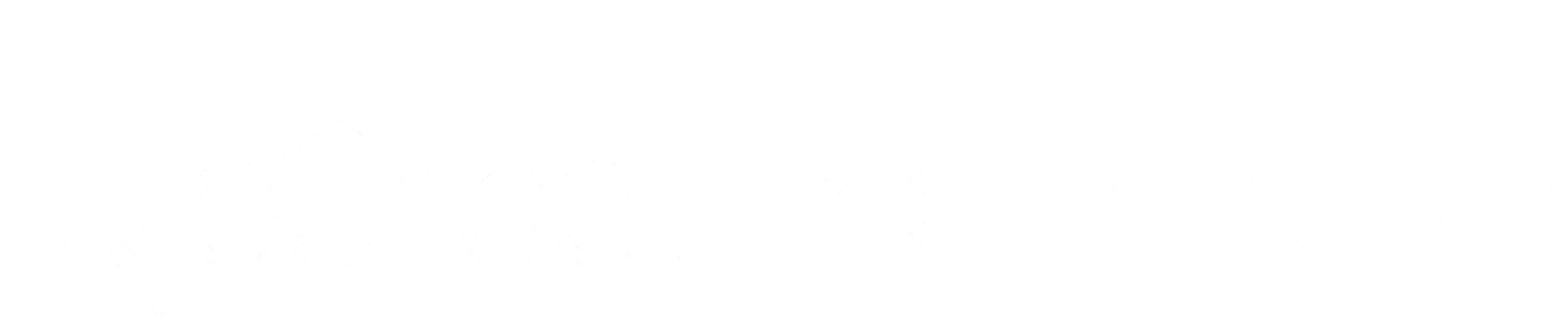 De Groot Roof Painting
